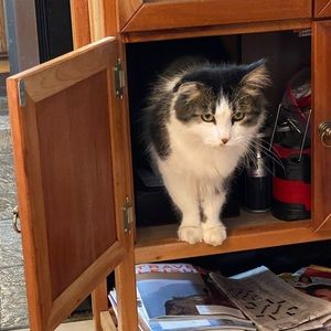 Meet your Posher, Stephanie